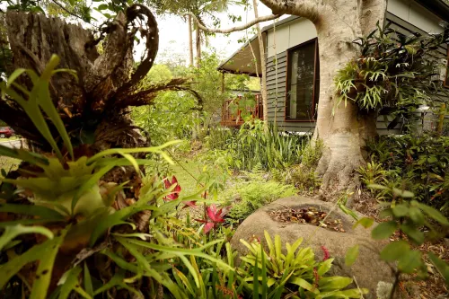 Mt Warning Rainforest Park - Wifi