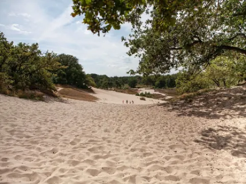 Bungalow with a Terrace at Bedafse Bergen