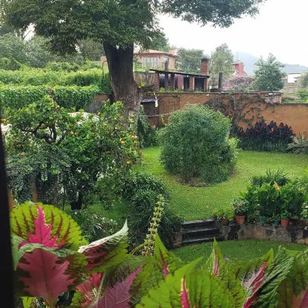 Posada Yolihuani