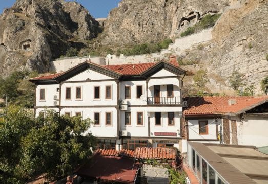 살리 베이 코나기 이미지