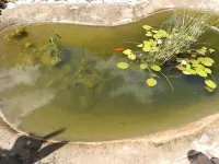 2 Bed Apartment with Ensuite Kitchenette- 2071