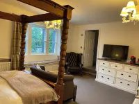 OYO New Inn Hotel