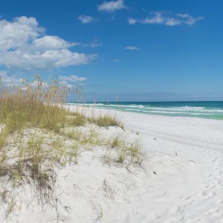 Fairfield Inn & Suites Pensacola Pine Forest