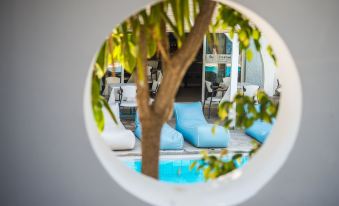 Anika Studios