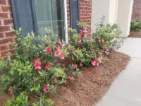 Private Oasis with New Orleans Decor - Spacious Stylish Retreat