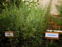 Novotel Sao Paulo Morumbi Hotels in Sao Paulo