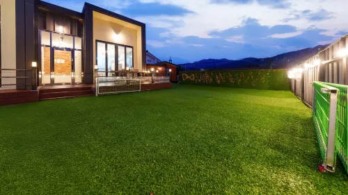 Chuncheon Dogandstay