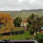 Melipal Schuss Arg41