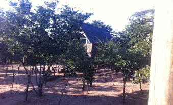 Lion Roars Lodge