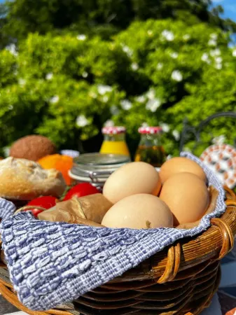 1 Bed Glamping Hut - Firepit, Fireplace, Views Отели в г. Blaydon-on-Tyne