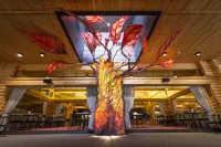 Levi Hotel Spa Hotels in Kittilä