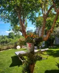 San Gemini Palace Hotels in 