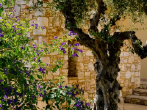 Colonides Beach Hotel Hotels in Koroni