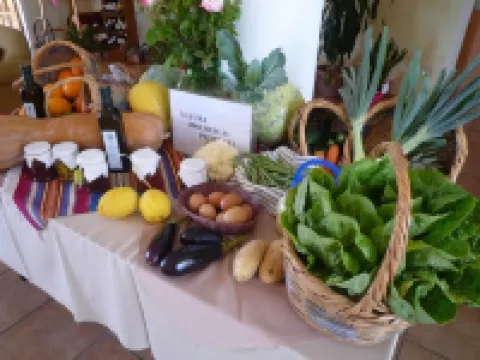 Natura Beach Hotel and Villas Hotels in Polis