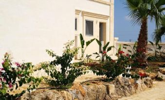 Agriturismo Mascava di Torre Guaceto