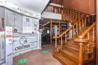 Orchis Hotel - Wifi