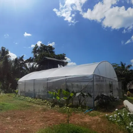 Wangnamkhao Resort