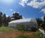 Wangnamkhao Resort Hotels in Khlong Thom