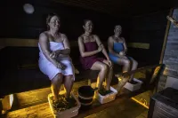 Villa Havula Hotels in Ranua