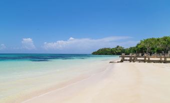 Silver Palms Charming 1Br Private Beach and Pool