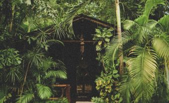 Ocho Artisan Bungalows