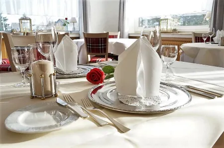 Land-Gut-Hotel Zum Alten Forsthaus - Aufladestation für Elektroautos