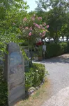 Camping la Focetta Sicula