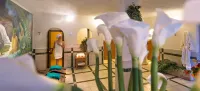 Parc Hotel Florian - Spa