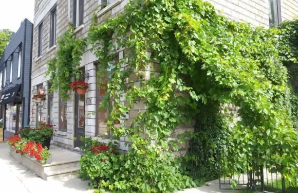 Vieux-法納姆老公寓Condotel1