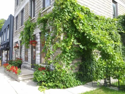 Vieux-Old Farnham Appart-Condotel Hotels in Farnham