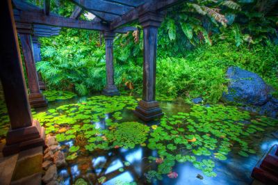 スパ・大浴場 パシフィック リゾート アイツタキの写真