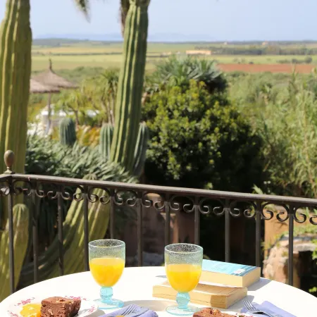 Finca Hotel Rural Es Turó