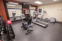 Hampton Inn & Suites Berkshires-Lenox - Gym