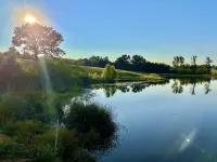 Cora's Cabins Hotels in Tyler
