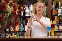 Hotel Horizont - bar