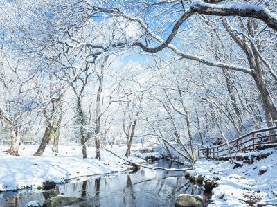 ホテル周辺 星野リゾート リゾナーレ那須の写真