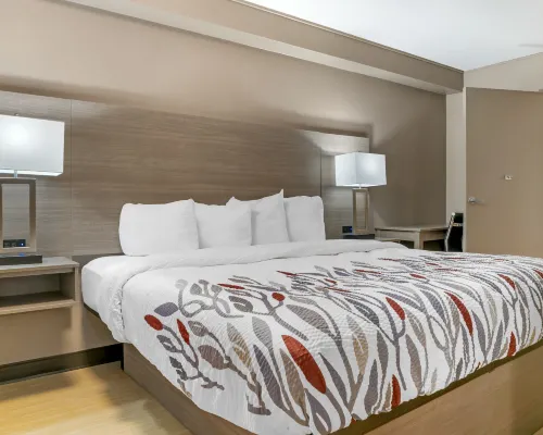 Red Roof Inn Detroit-Rochester Hills/ Auburn Hills Hotels in Rochester Hills