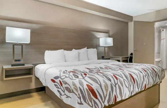 底特律-奧本山/羅切斯特山紅頂酒店