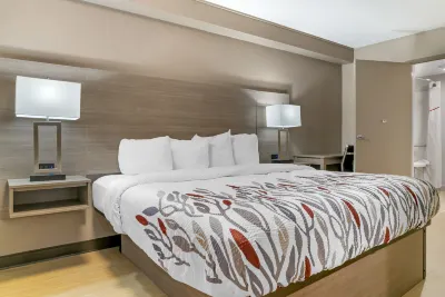 Red Roof Inn Detroit-Rochester Hills/ Auburn Hills Các khách sạn gần Oakland University