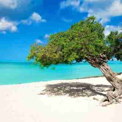South Beach Residence Fitness & Recreational Facilities