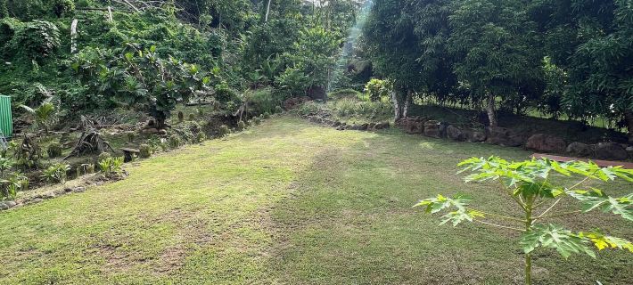 Hava'i Lodge Hotels in Raiatea