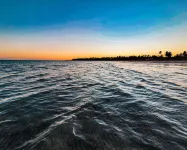 Xaréu Flats Maragogi