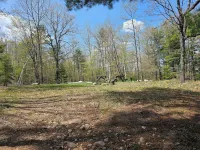 Mazinaw Lakeside RV Park & Campground Hotels in Cloyne