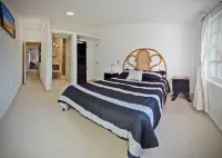 HominngBird Acapulco