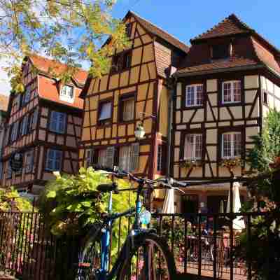 PAUL & PIA hôtel Colmar Hotel Exterior