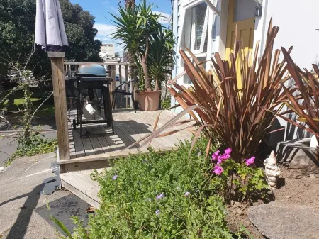 The city of Bach Napier