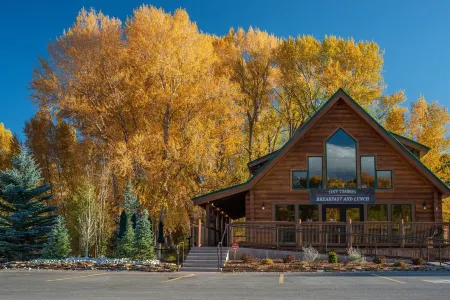 New pet-friendly, gorgeous cabin with AC and WiFi at Tiny Timbers Resort