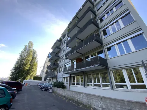 Luxury loft downtown Geneva