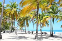 Jlo’s Place/Next to Airport/PrimeLocation/Fastnet - 2-Star
