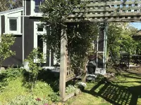 Studio set in beautiful english cottage gardens Hotels in Greytown